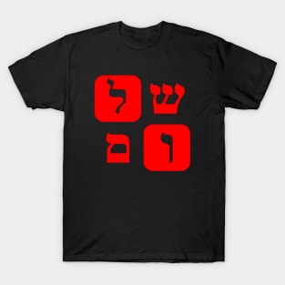 Hebrew Word for Peace Shalom Hebrew Letters Red Aesthetic T-Shirt